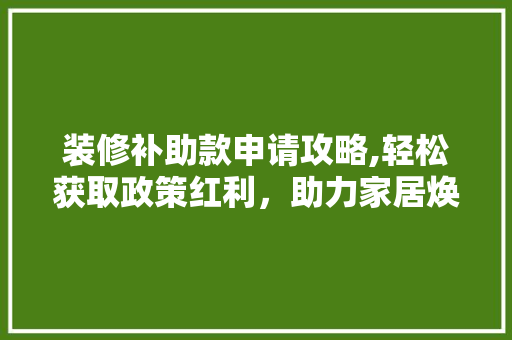装修补助款申请攻略,轻松获取政策红利，助力家居焕新(装修补助标准怎么写)