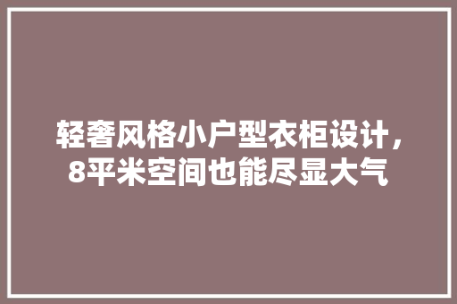 轻奢风格小户型衣柜设计，8平米空间也能尽显大气(小户型节省空间的衣柜设计)
