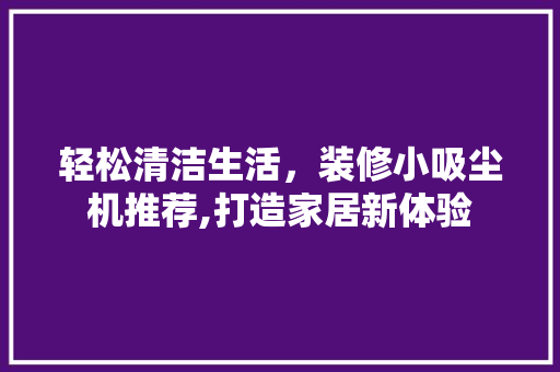 轻松清洁生活，装修小吸尘机推荐,打造家居新体验