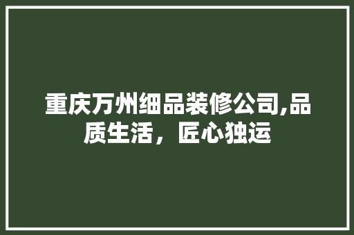 重庆万州细品装修公司,品质生活，匠心独运 重庆万州细品装修公司,品质生活，匠心独运 MI家装修攻略