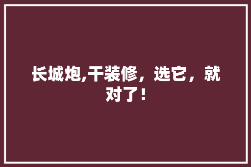 长城炮,干装修，选它，就对了！ 长城炮,干装修，选它，就对了！ MI家公司推荐