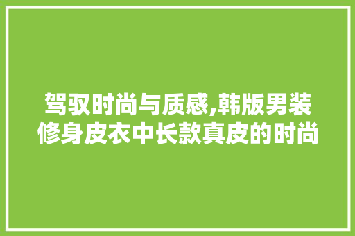 驾驭时尚与质感,韩版男装修身皮衣中长款真皮的时尚诠释(韩式皮衣男)
