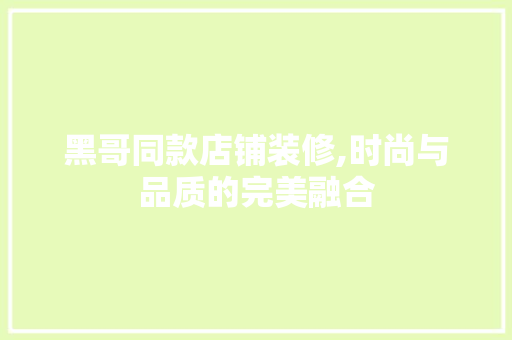 黑哥同款店铺装修,时尚与品质的完美融合 黑哥同款店铺装修,时尚与品质的完美融合 MI家装修经验