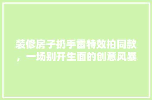装修房子扔手雷特效拍同款，一场别开生面的创意风暴 装修房子扔手雷特效拍同款，一场别开生面的创意风暴 MI家装修经验