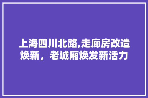 上海四川北路,走廊房改造焕新，老城厢焕发新活力