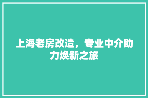 上海老房改造，专业中介助力焕新之旅