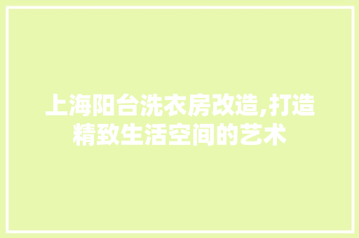 上海阳台洗衣房改造,打造精致生活空间的艺术(阳台洗衣区改造)