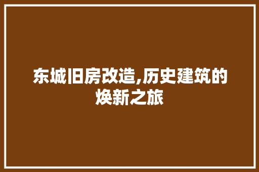 东城旧房改造,历史建筑的焕新之旅