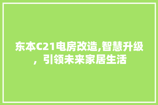 东本C21电房改造,智慧升级，引领未来家居生活