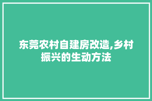 东莞农村自建房改造,乡村振兴的生动方法