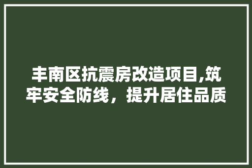 丰南区抗震房改造项目,筑牢安全防线，提升居住品质