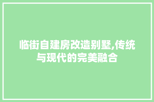 临街自建房改造别墅,传统与现代的完美融合(临街自建房设计)