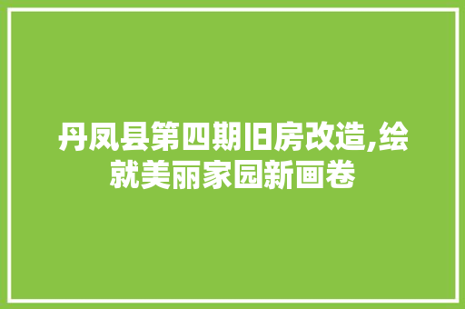 丹凤县第四期旧房改造,绘就美丽家园新画卷(丹凤县2020旧城改造规划)