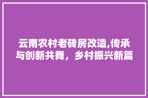 云南农村老砖房改造,传承与创新共舞，乡村振兴新篇章