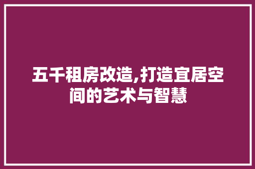 五千租房改造,打造宜居空间的艺术与智慧