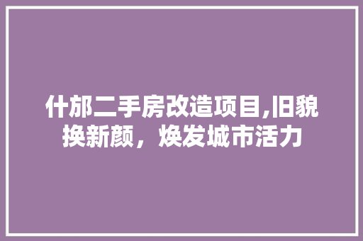 什邡二手房改造项目,旧貌换新颜，焕发城市活力(什邡二手房城市在线)