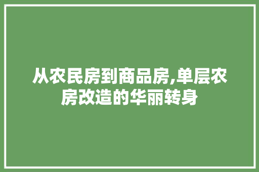 从农民房到商品房,单层农房改造的华丽转身(一层农房改造)