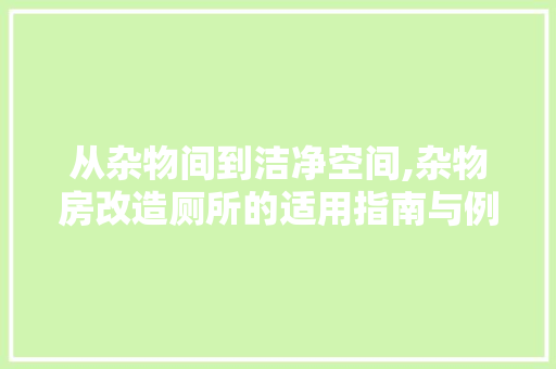 从杂物间到洁净空间,杂物房改造厕所的适用指南与例子分享(杂物间改卫生间可以吗)