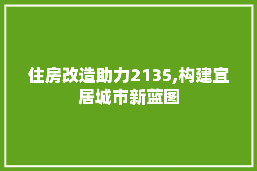 住房改造助力2135,构建宜居城市新蓝图