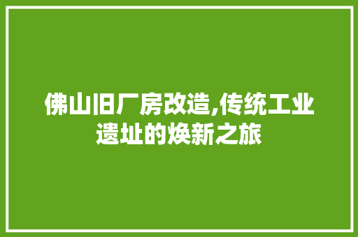 佛山旧厂房改造,传统工业遗址的焕新之旅(佛山市旧厂房改造)