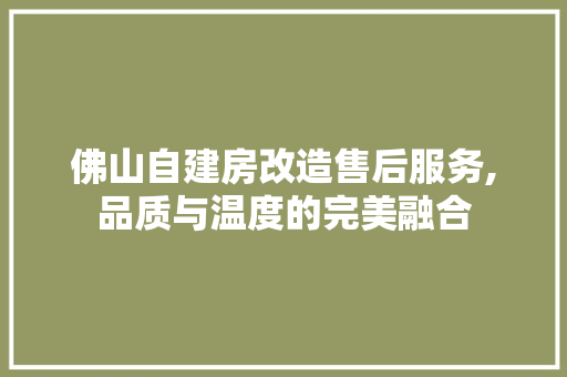 佛山自建房改造售后服务,品质与温度的完美融合(佛山自建房外观)
