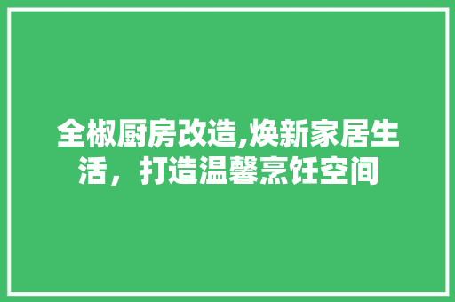 全椒厨房改造,焕新家居生活，打造温馨烹饪空间