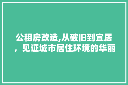公租房改造,从破旧到宜居，见证城市居住环境的华丽蜕变(公租房改造的规定)