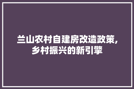 兰山农村自建房改造政策,乡村振兴的新引擎