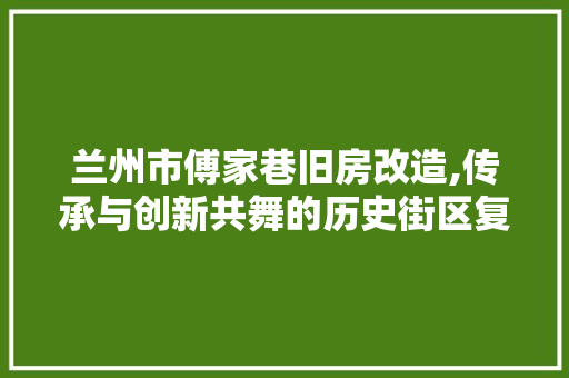 兰州市傅家巷旧房改造,传承与创新共舞的历史街区复兴之路