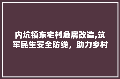 内坑镇东宅村危房改造,筑牢民生安全防线，助力乡村振兴