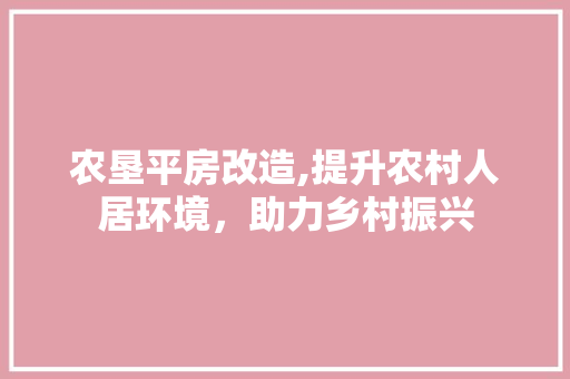 农垦平房改造,提升农村人居环境，助力乡村振兴
