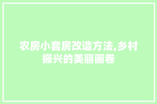 农房小套房改造方法,乡村振兴的美丽画卷