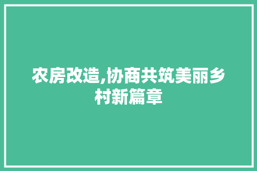 农房改造,协商共筑美丽乡村新篇章
