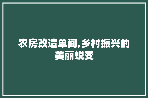 农房改造单间,乡村振兴的美丽蜕变