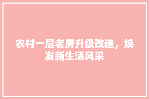 农村一层老房升级改造，焕发新生活风采