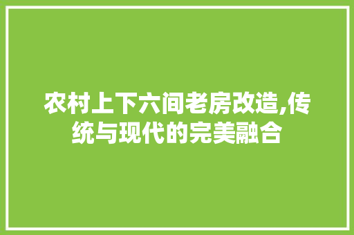 农村上下六间老房改造,传统与现代的完美融合