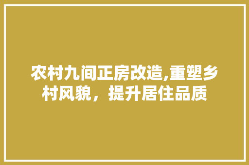 农村九间正房改造,重塑乡村风貌，提升居住品质
