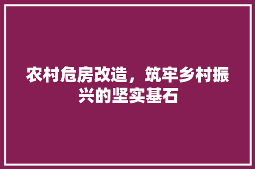 农村危房改造，筑牢乡村振兴的坚实基石