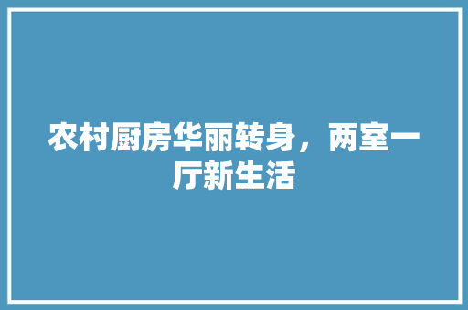 农村厨房华丽转身，两室一厅新生活(农村两间厨房餐厅一体设计)