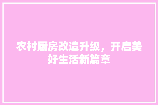 农村厨房改造升级，开启美好生活新篇章