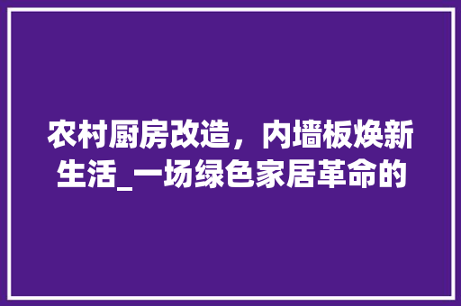 农村厨房改造，内墙板焕新生活_一场绿色家居革命的方法探索