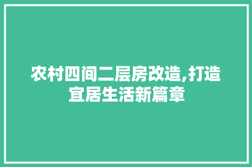 农村四间二层房改造,打造宜居生活新篇章