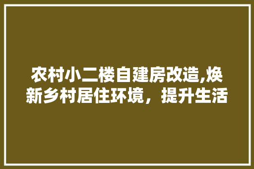 农村小二楼自建房改造,焕新乡村居住环境，提升生活品质