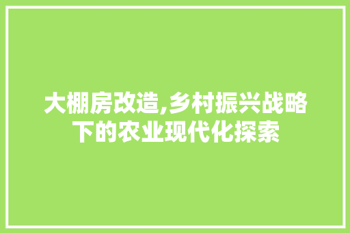大棚房改造,乡村振兴战略下的农业现代化探索