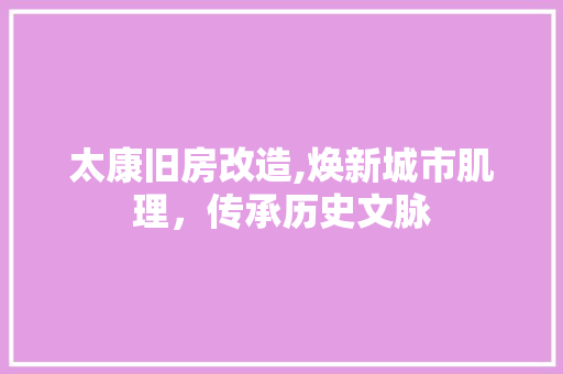 太康旧房改造,焕新城市肌理，传承历史文脉(太康县旧城区改造)