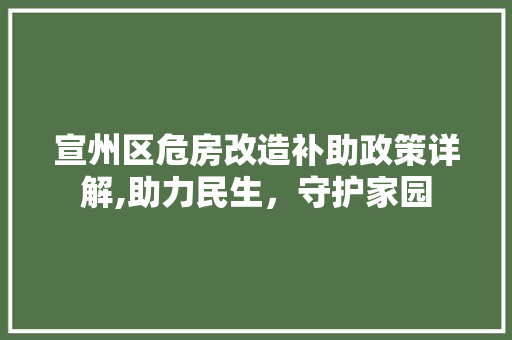 宣州区危房改造补助政策详解,助力民生，守护家园