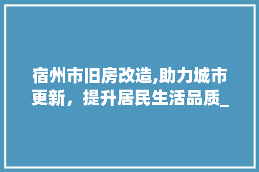 宿州市旧房改造,助力城市更新，提升居民生活品质_介绍旧房改造热线服务
