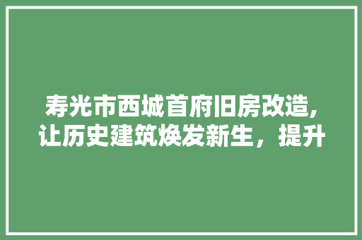 寿光市西城首府旧房改造,让历史建筑焕发新生，提升城市品质