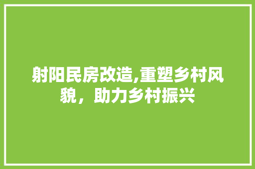 射阳民房改造,重塑乡村风貌，助力乡村振兴