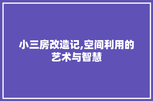 小三房改造记,空间利用的艺术与智慧